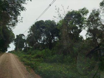 Terreno à Venda